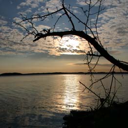 Es wird Nacht auf M�nchgut!