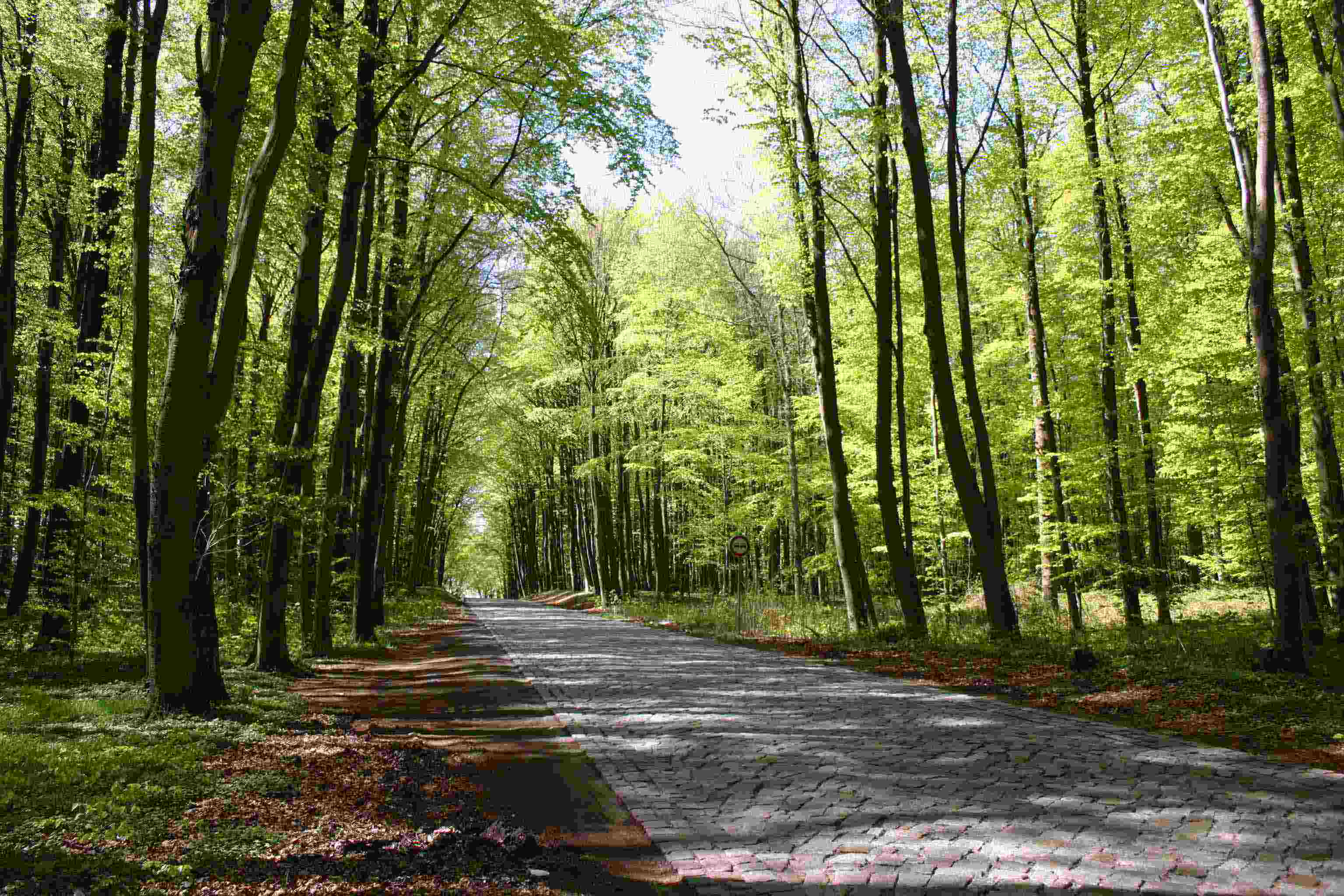 Und hier erscheint die Deutsche Aleenstra�e !