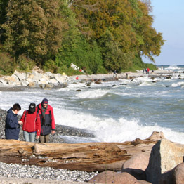Ein typisches Strandbild: Alle suchen etwas besonderes zu finden!